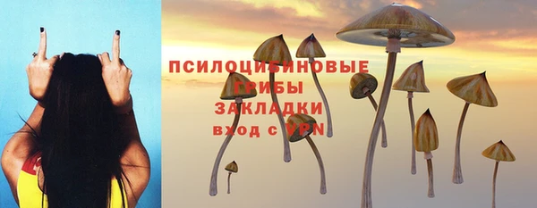 apvp Краснослободск