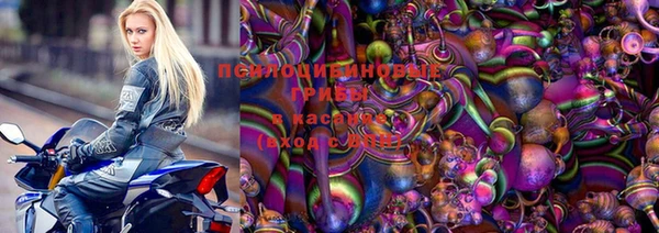apvp Краснослободск