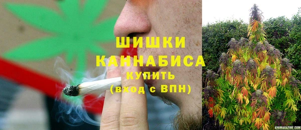 apvp Краснослободск