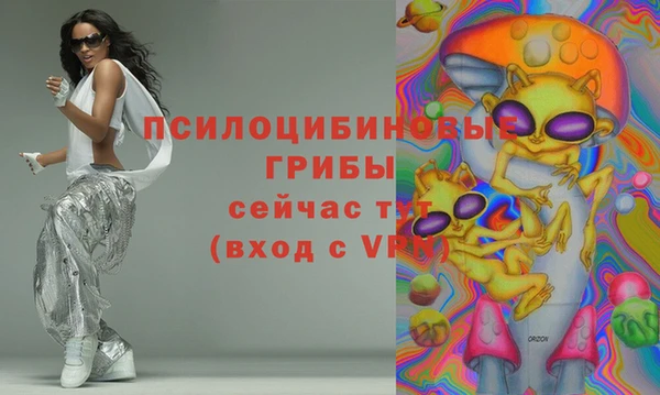 дурь Фёдоровский