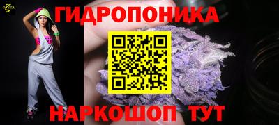 spice Кулебаки