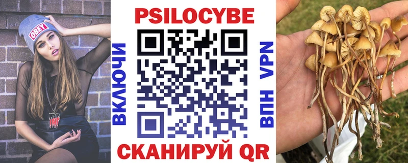 Галлюциногенные грибы Magic Shrooms  Кемерово 