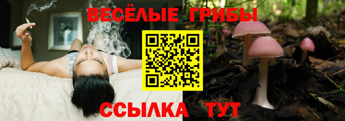 Псилоцибиновые грибы прущие грибы Кемерово